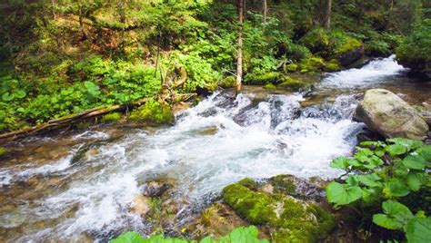 Doliną Wschodzącego Słońca – Oazą Spokoju i Mistycznym Urokiem w Liaocheng!