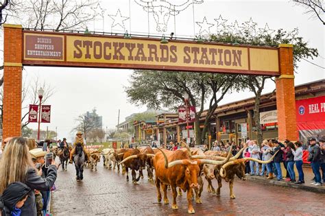 Fort Worth Stockyards:  History and Hooves Collide for an Unforgettable Texas Experience!