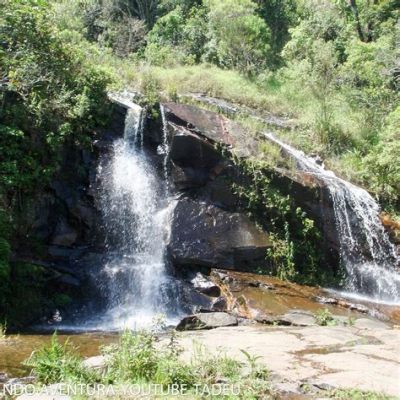  Parque Estadual da Serra do Mar: Niezapomniana przygoda w sercu Brazylii!