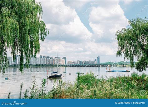 Yeouido Hangang Park: Oaza spokoju z zapierającymi dech w piersi widokami na Seul!