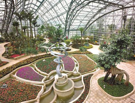  Zhangzhou Nanshan Botanical Garden - Oaza spokoju i niezwykłej różnorodności roślinnej!